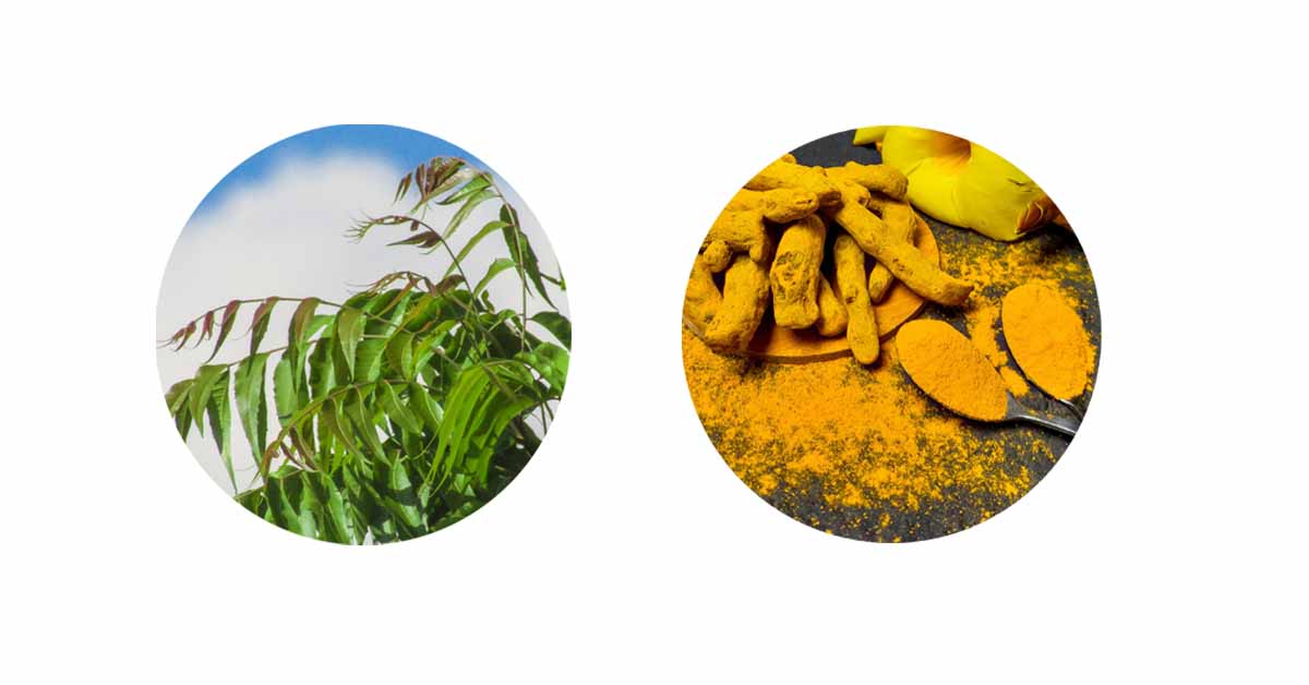 How To Prepare Organic Pesticides, Their Uses, Benefits, And Complete