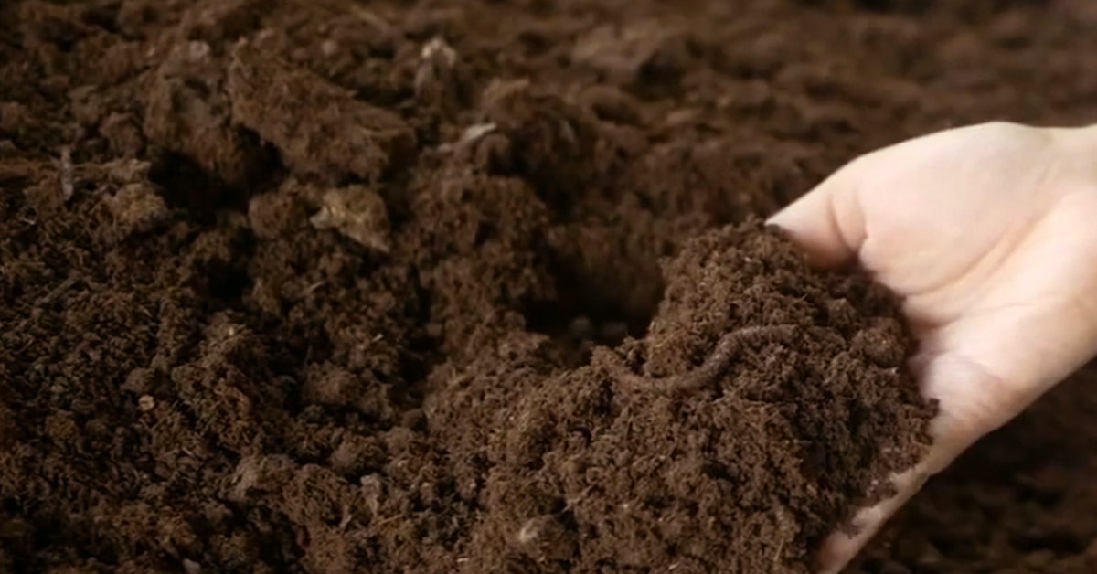 benefits-of-vermicompost