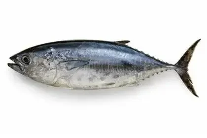 Tuna-fish