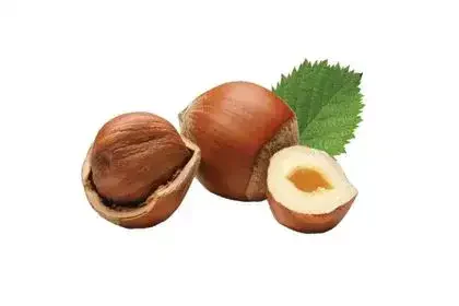 Hazelnut-in-Tamil