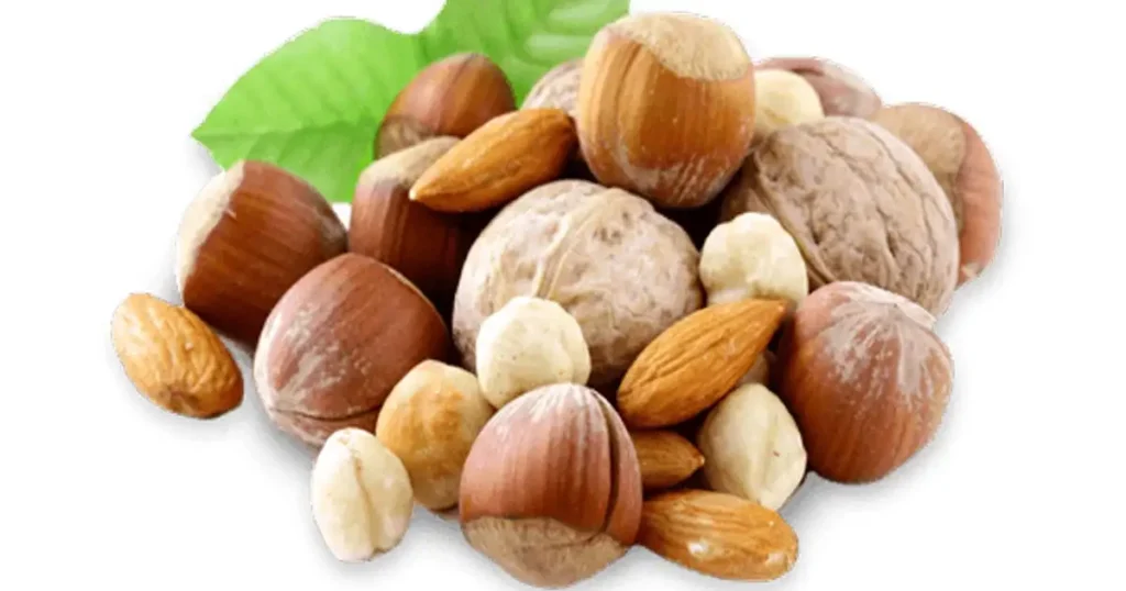 hazelnut-in-tamil-name-9-benefits-nutrients-price-etc