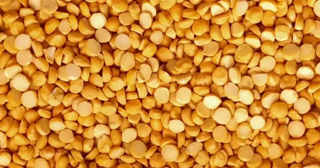 chana-dal-in-tamil-name-7-benefits-side-effect-nutrient-price