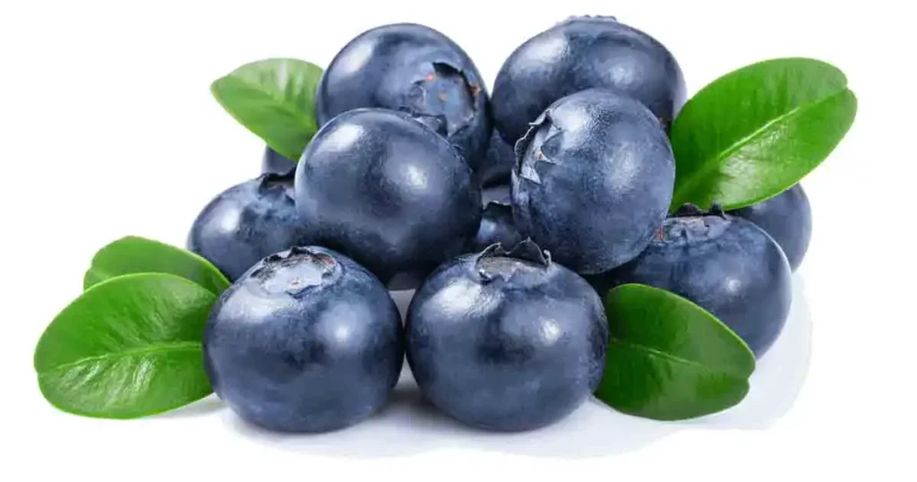 Blueberry-in-Tamil