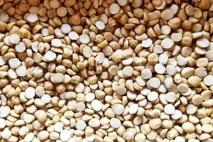Gram-Dal-in-Tamil