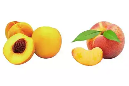 Peach Fruit In Tamil Name [11+ Benefits, Nutrition, Types, Price]