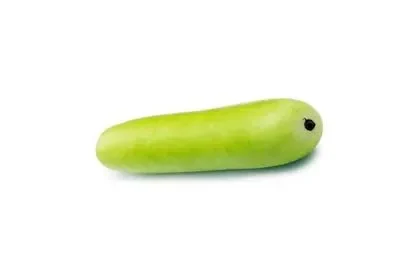 Bottle-gourd-in-Telugu
