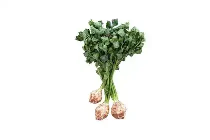 Celery-In-Tamil