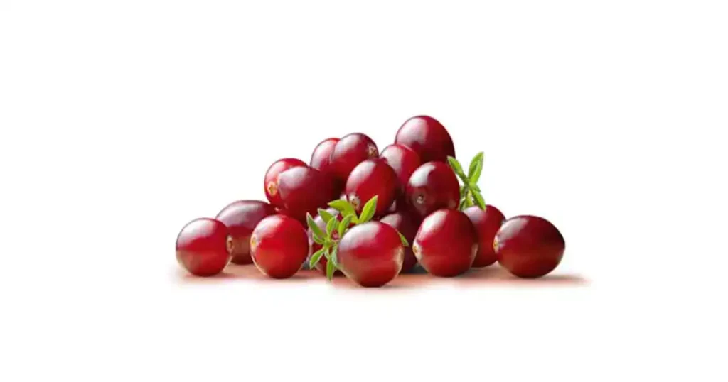 Cranberry-photo