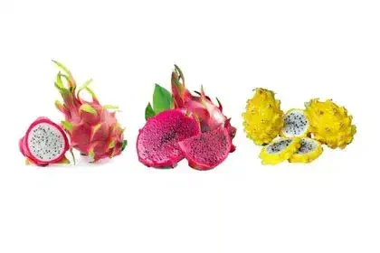 Dragon-fruit-in-Tamil