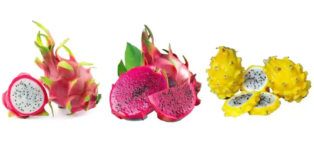 Dragon-fruit-in-Tamil