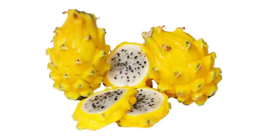 Dragon-fruit-photo