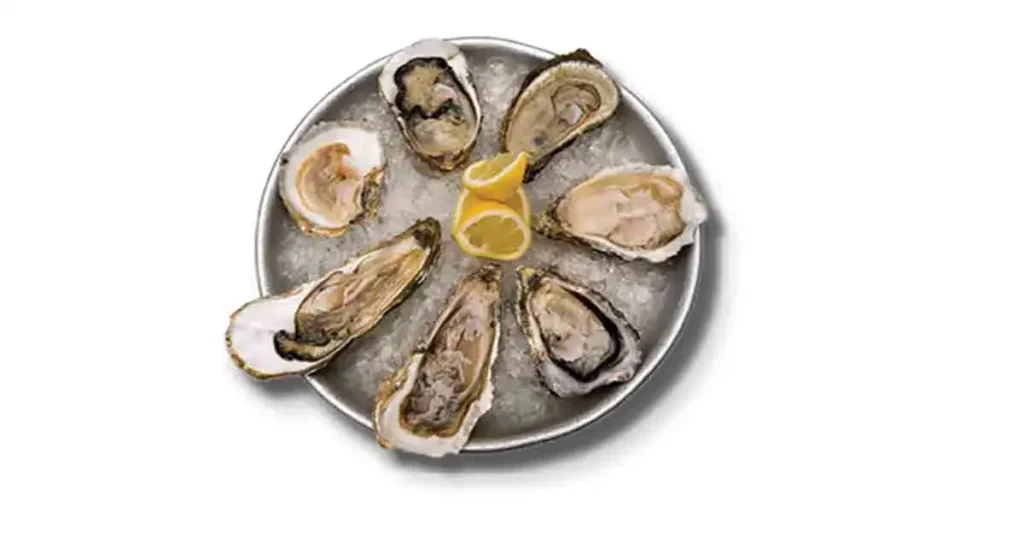 Oyster-recipes