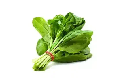 Spinach-in-kannada