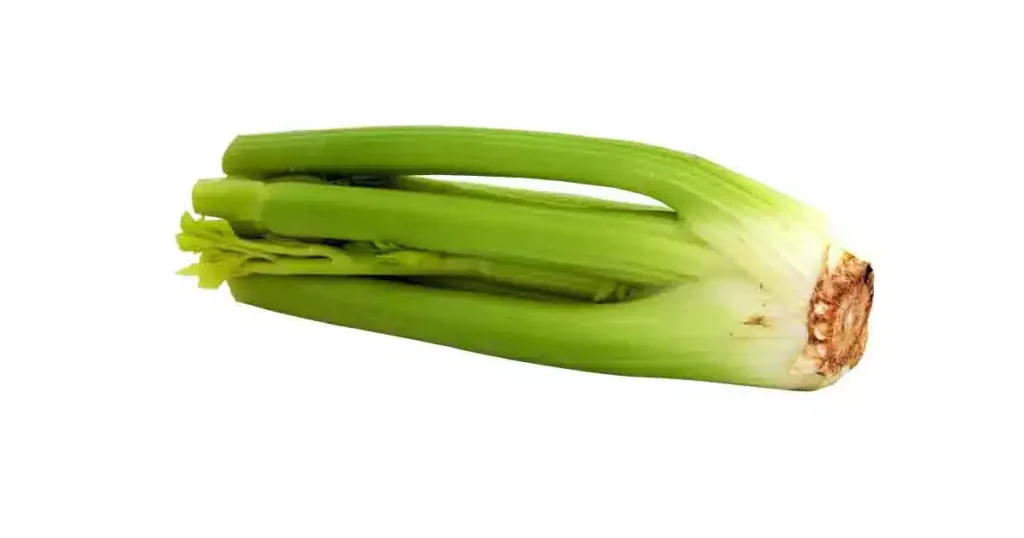 celery-photo
