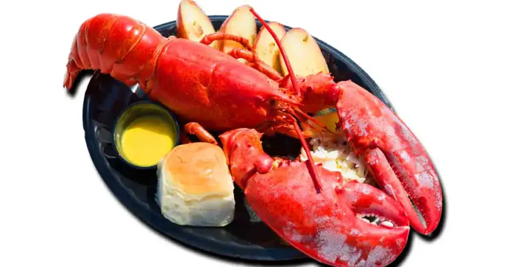lobster-recipe