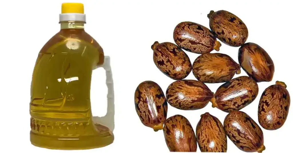 Castor Oil In Tamil Name