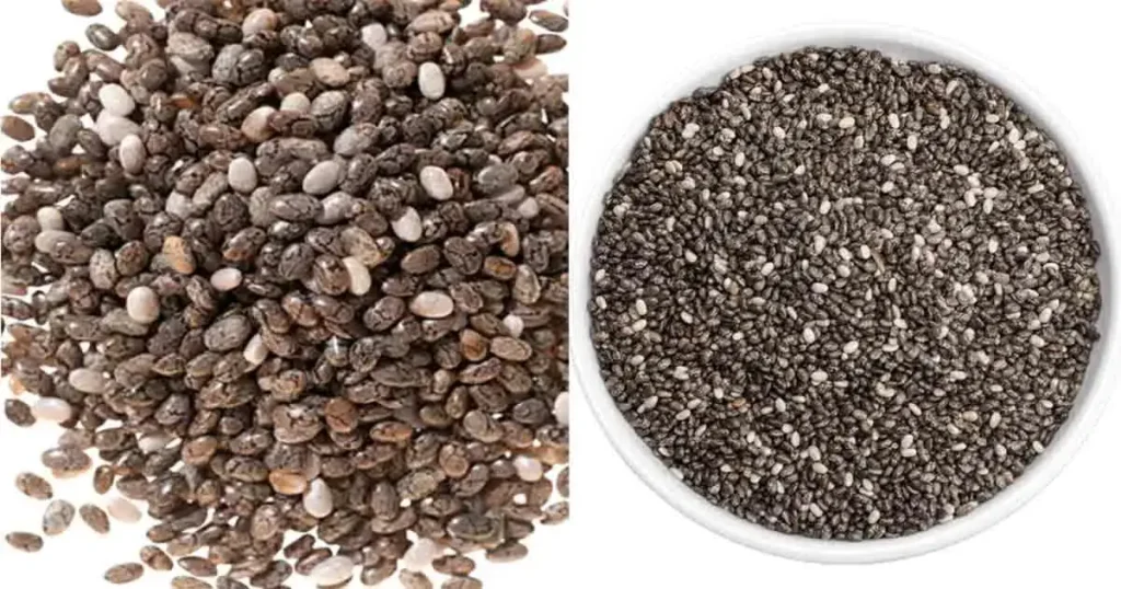 Chia-seeds-in-Bengali
