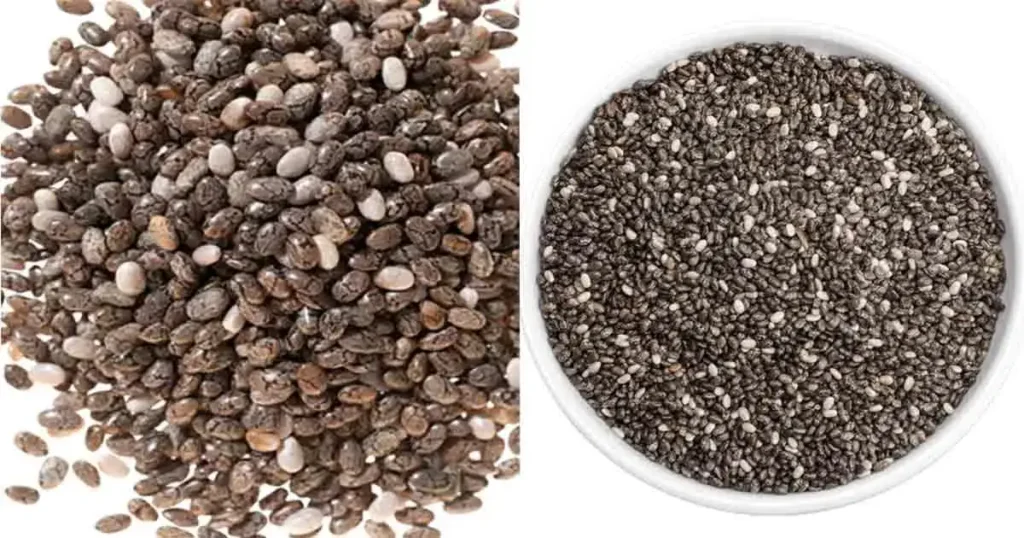 Chia Seeds In Bengali Name [7+ Benefits, Side Effect, Nutrient, Price]