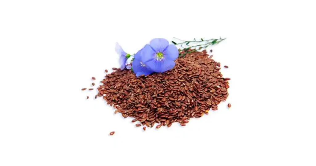 Flax-seeds-photo
