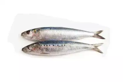Sardine Fish In Marathi Name [9+ Benefits, Side Effect, Nutrient, Price ...