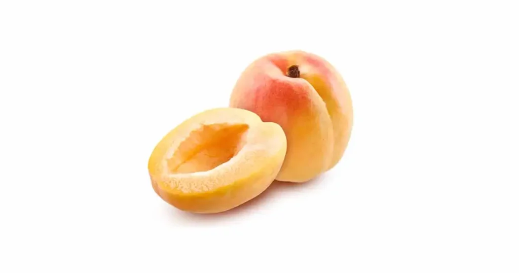 Apricot-photo