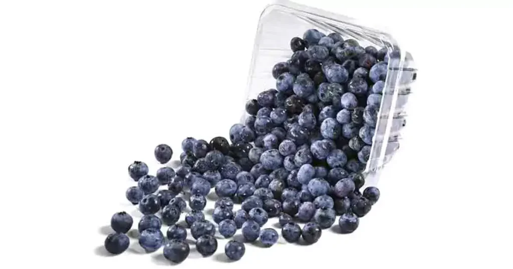 Blueberry-photo