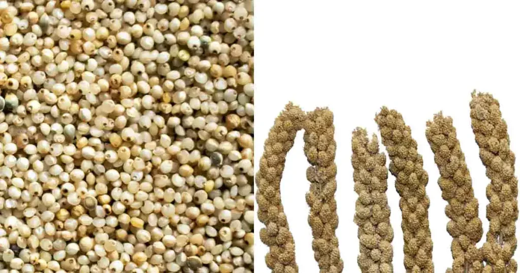 Millets-in-Kannada