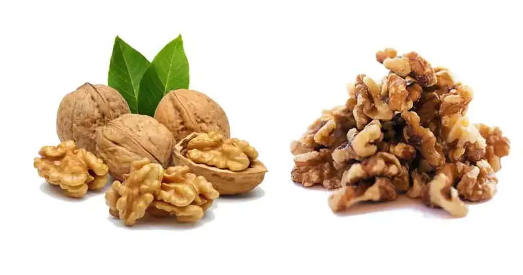 Walnuts-in-Telugu