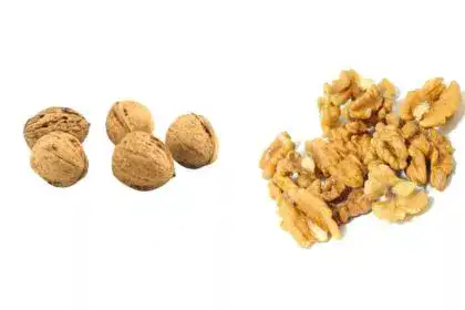 walnut-in-Kannada