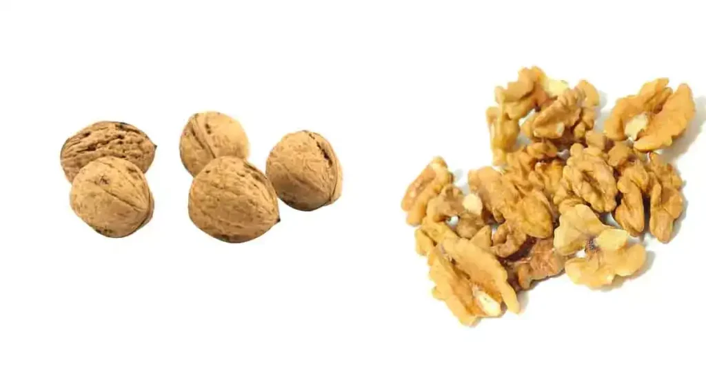 walnut-in-Kannada