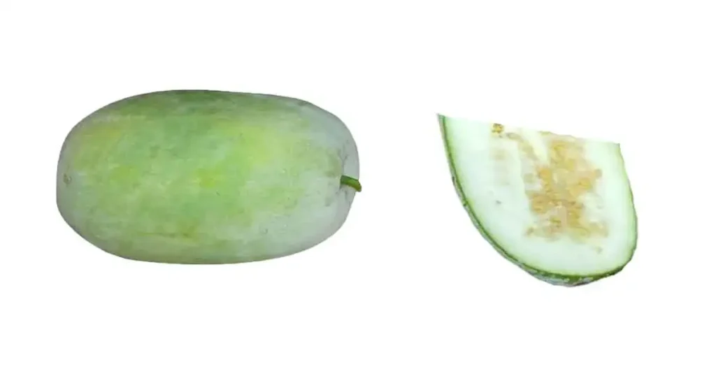 Ash-Gourd-in-Marathi