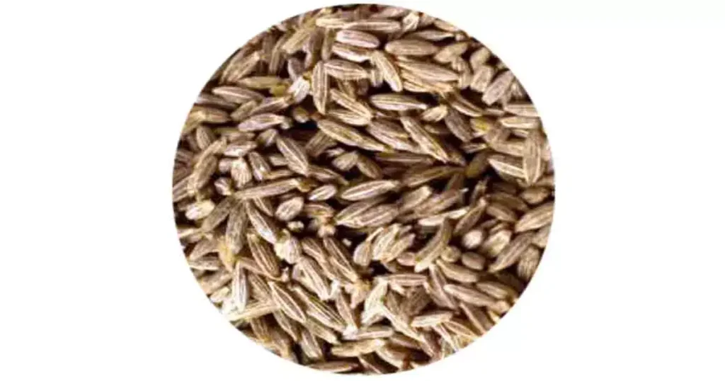 Cumin-seeds-in-Telugu