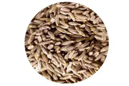 Cumin-seeds-in-Telugu