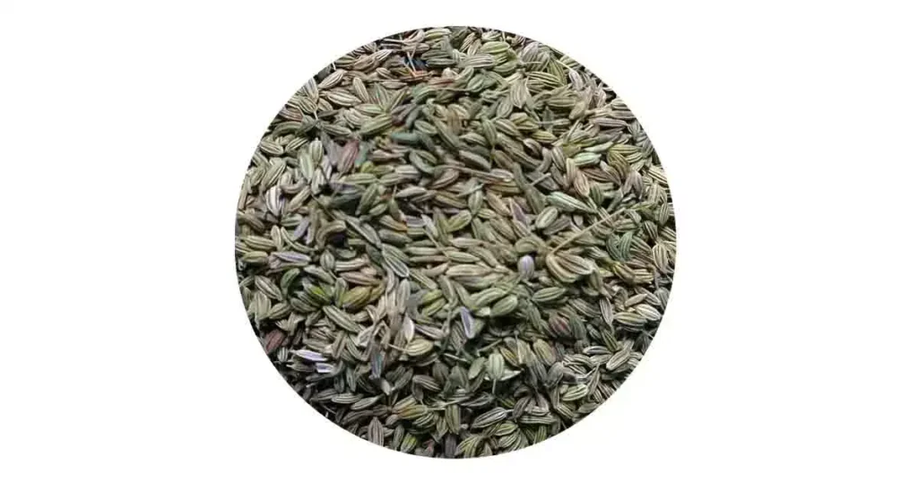 Fennel-Seeds-in-Malayalam