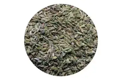 Fennel-Seeds-in-Malayalam