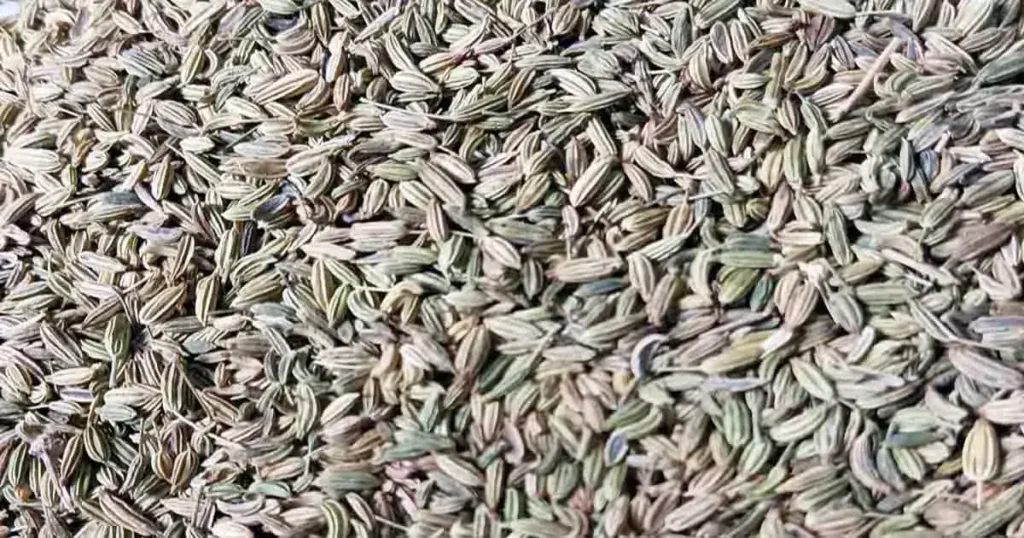 Fennel-Seeds-in-Tamil