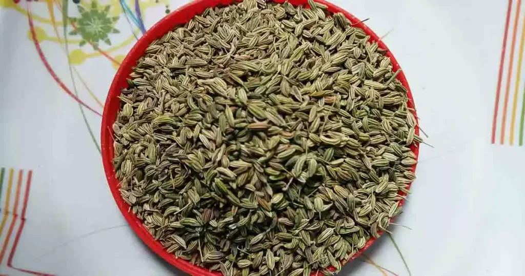 Fennel-Seeds-photo