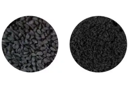 Kalonji-seeds-in-telugu