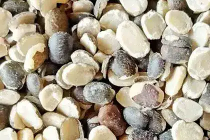 Urad-Dal-in-Telugu