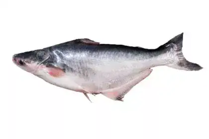 apollo-fish