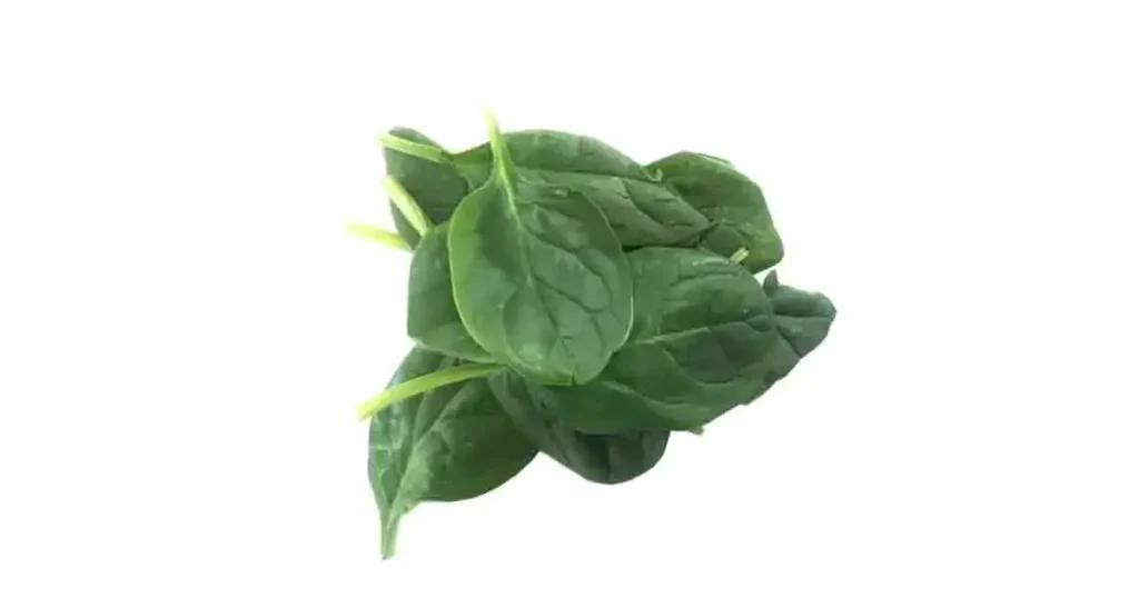 spinach-photo
