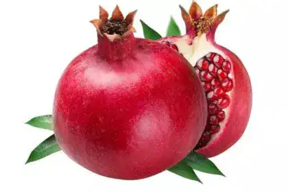 Anar-in-english