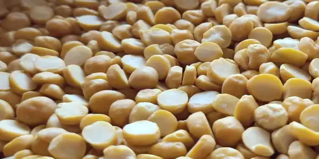 Chana-Dal-photo