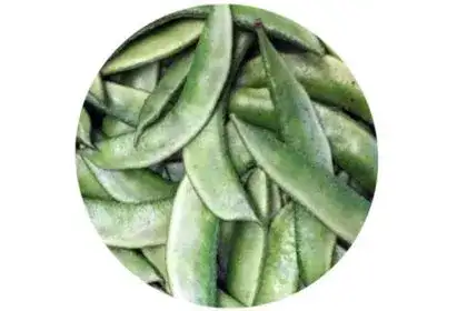 Chikkudukaya-in-english