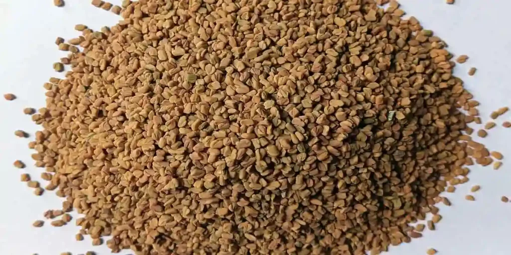 Fenugreek-in-Malayalam