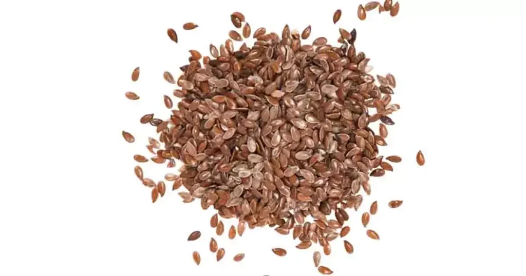 Flax-Seeds-in-Telugu