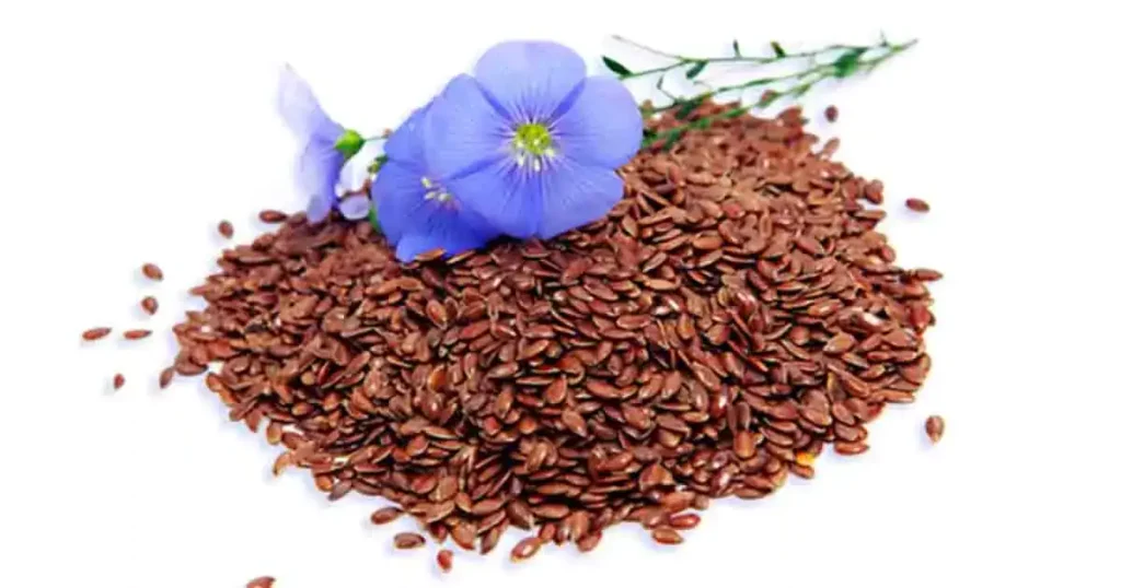 Flax-Seeds-photo
