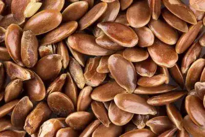 Flax-seeds-in-Kannada