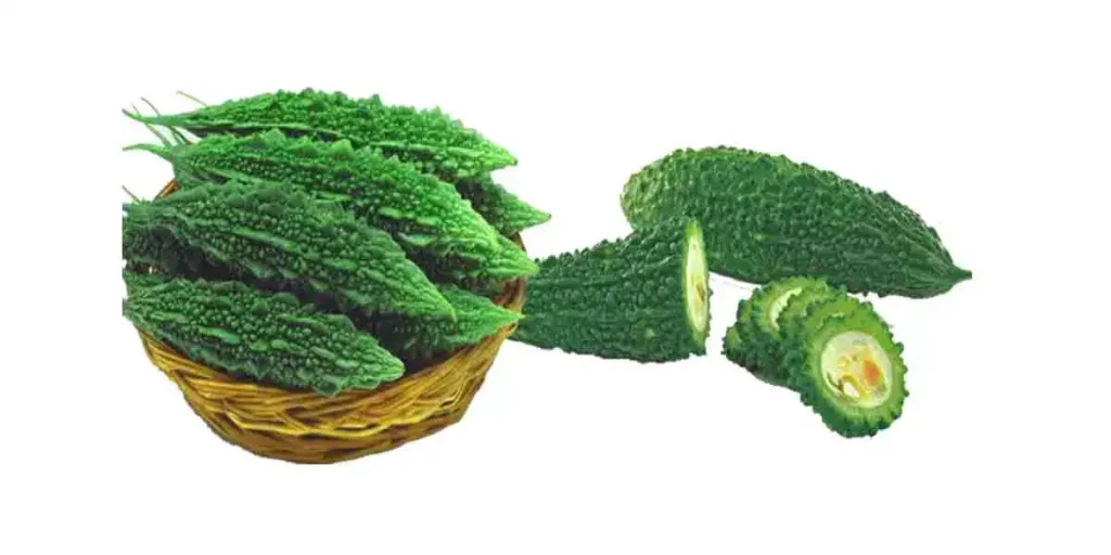 Karela In English [5+ Benefits, Side Effects, Nutrients, Price Etc]