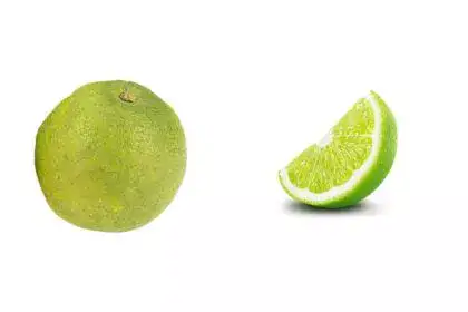 Mosambi-in-english